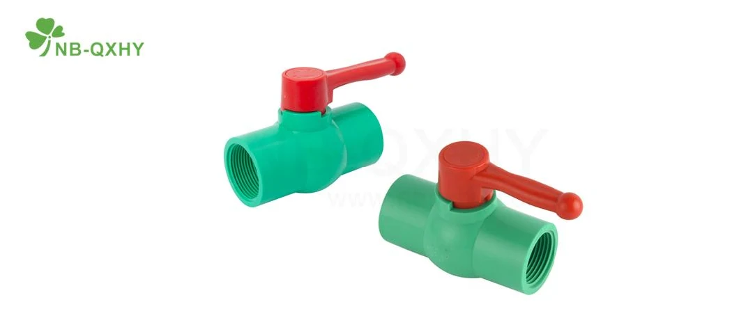 Customize UPVC Compact Ball Valve with Multiple Style Handles