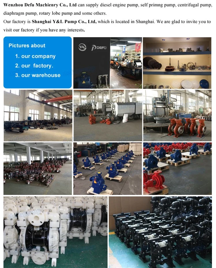 Factory Supply High Pressure Diaphragm Pump Ceramic Industry Pump