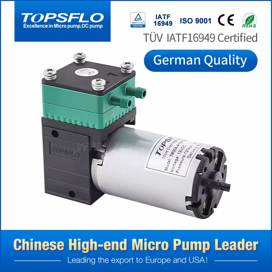 High Performance China Micro Vacuum Pump/ Micro Air Pump/Brush DC Diaphragm Pressure Vacuum Pump/Mini Compressor Air Pump Factory