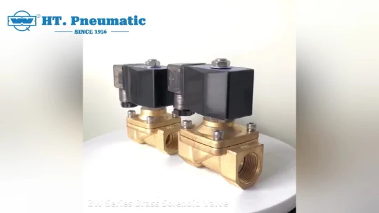 China Supplier Huatong Pneumatic High Quality Solenoid Valve 0955805 G2